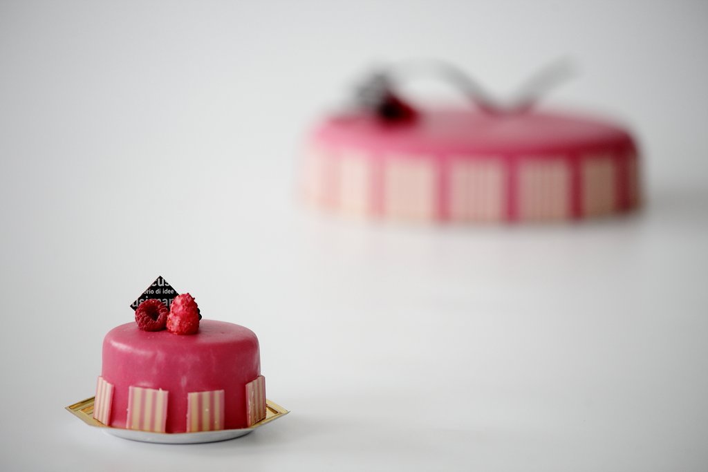 Entremets Monoporzione e Torte Moderne