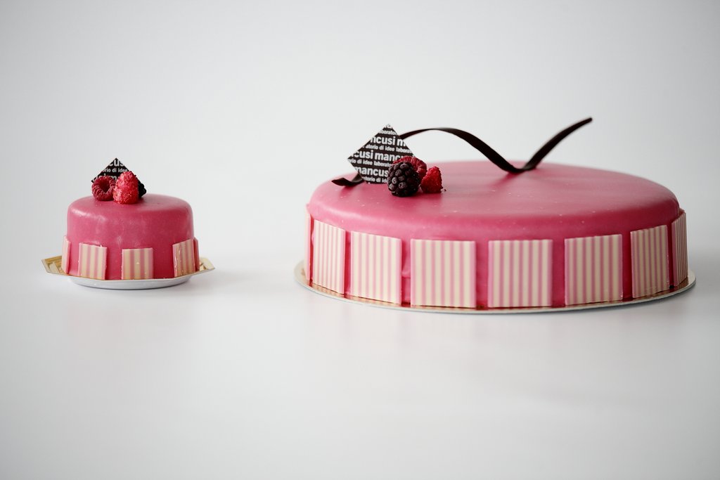 Entremets Monoporzione e Torte Moderne